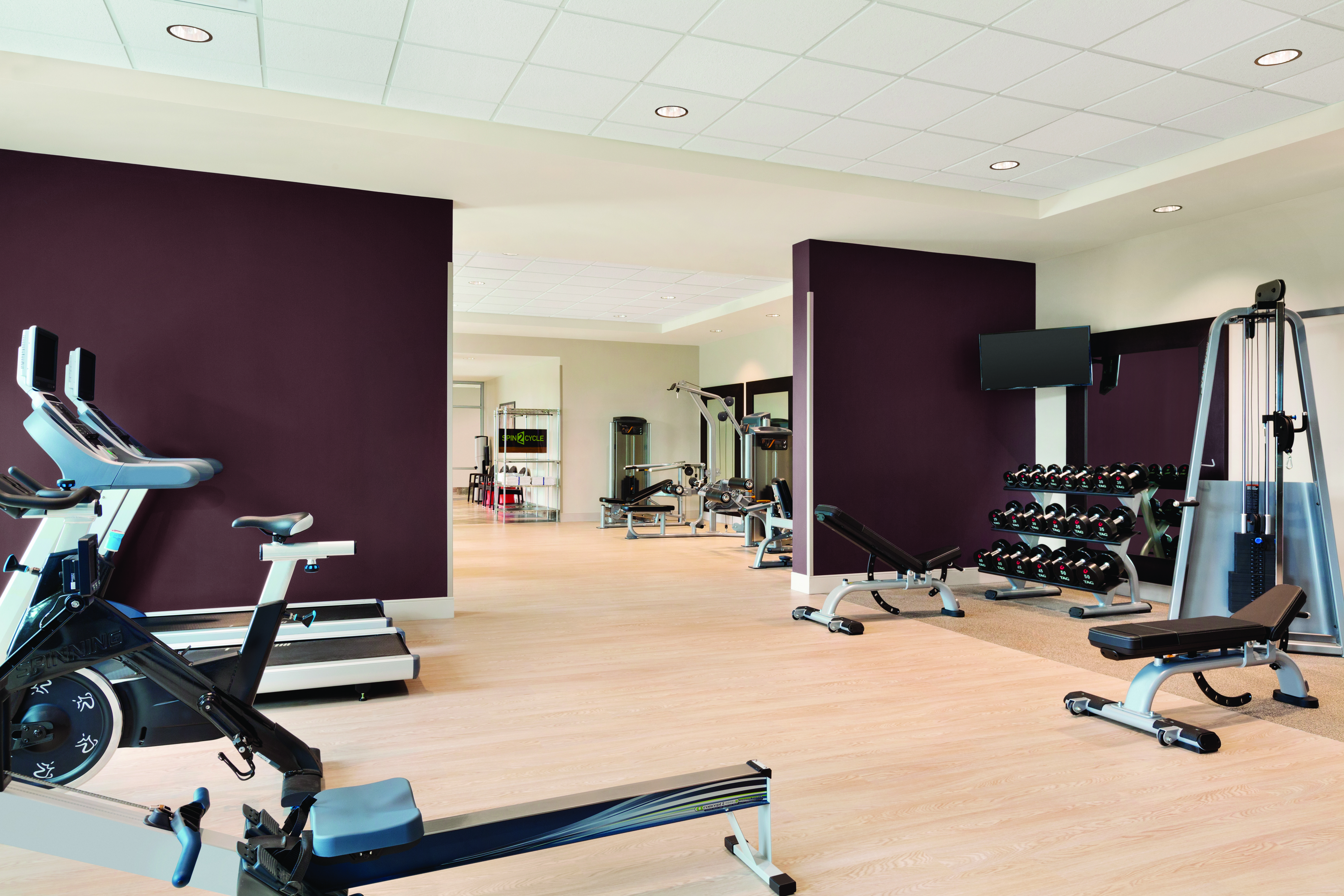 Fitness Center with Rowing Machine, Treadmills, Dumbbell Rack and Weight Bench