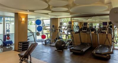 Fitness Center With Cardio Equipment, Large Mirrors, Weight Bench, Weight Balls, and Exercise Balls