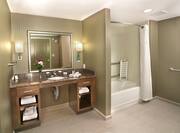 Lowered Vanity Mirror and Sink, Toiletries, Towels, Grab Bars and Accessible Seating Tub