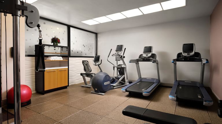 Fitness Center with  Treadmills and Recumbent Bike