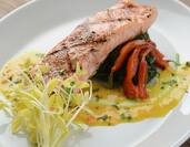 Close Up of Salmon and Vegetables on White Plate