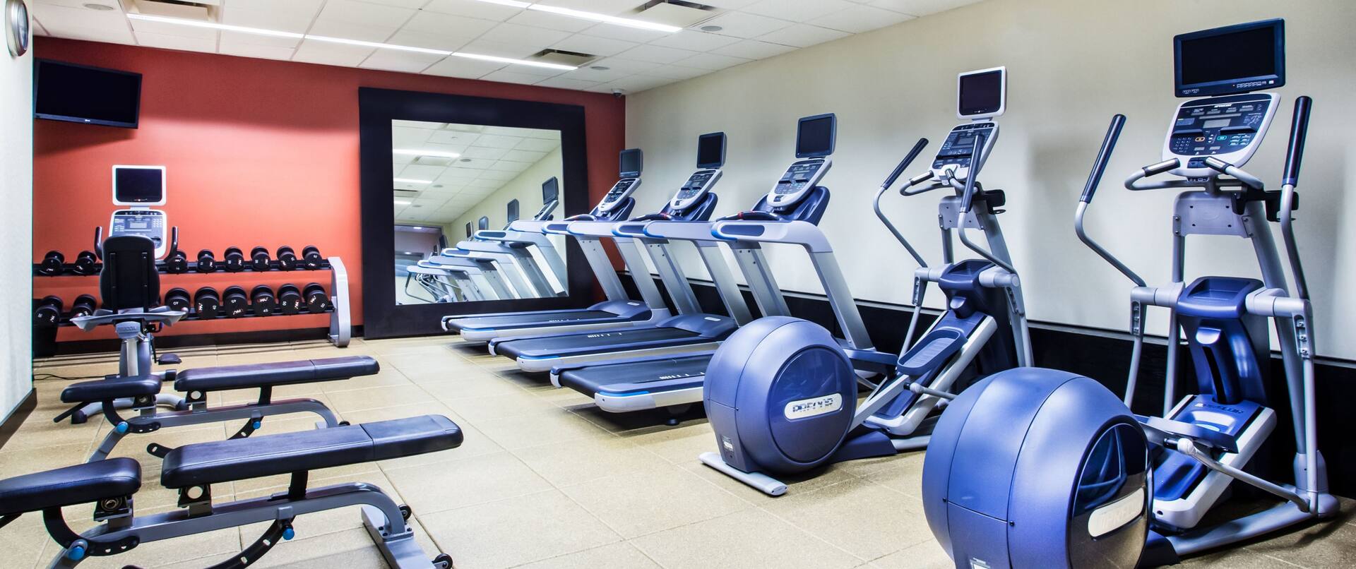 Fitness Center Treadmills, Cross-Trainers, Weight Benches and Free Weights Rack