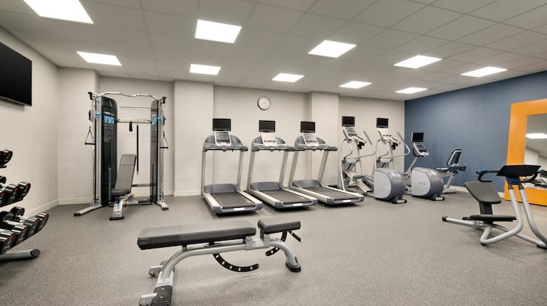 Fitness Center Treadmills, Cross-Trainers, Weight Machine and Weight Bench