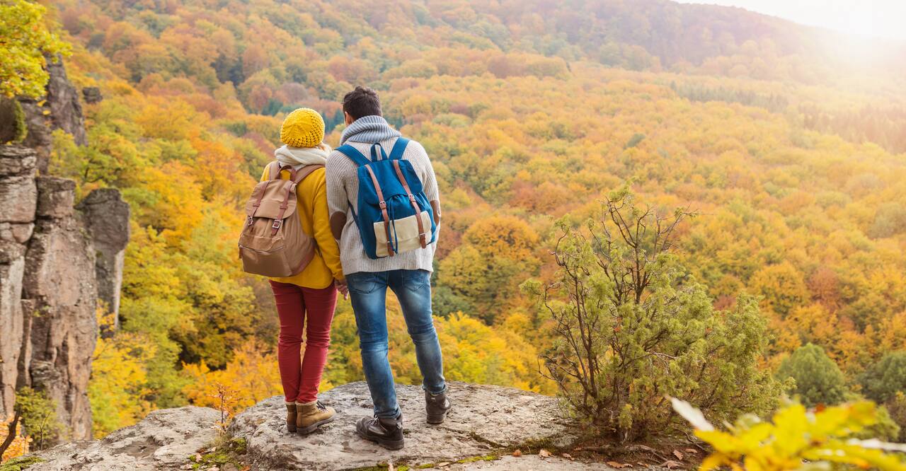 A couple dressed in brightly colored outdoor clothes look out onto an autumn forest from above.