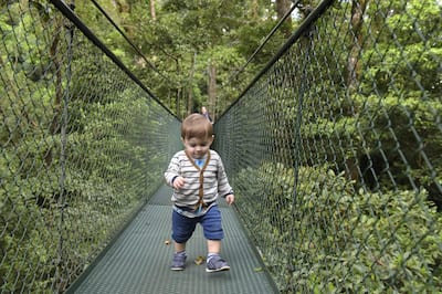 Toddler on hanging bridges in rainforest, Costa Rica