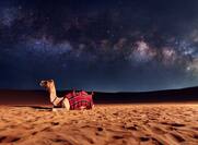 Star gazing on desert safari in Dubai