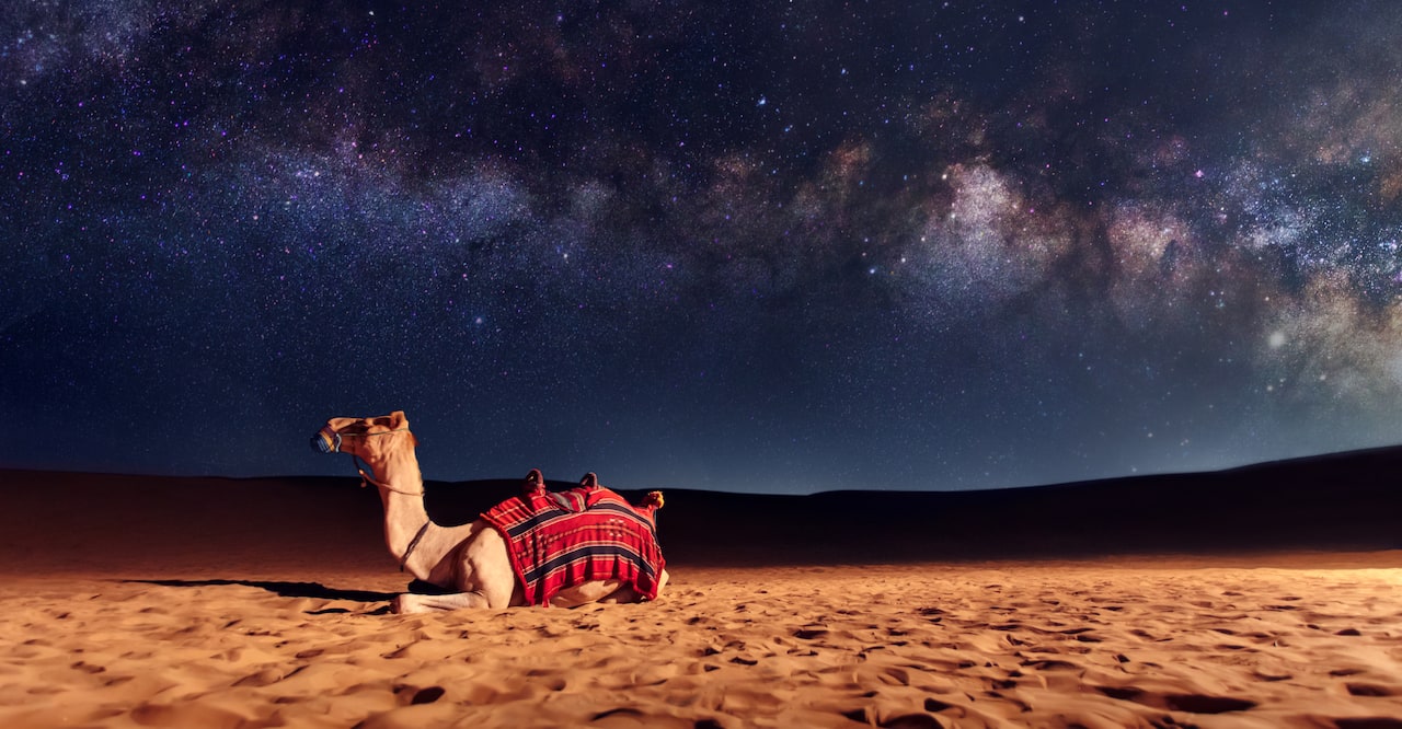 Star gazing on desert safari in Dubai