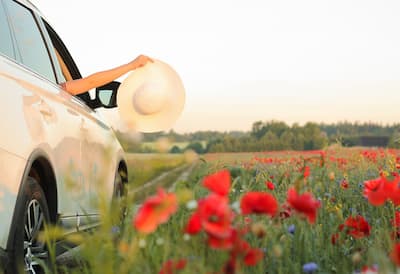 Women in car in field with flowers