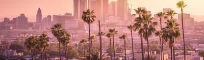 LA Skyline with Palm Trees