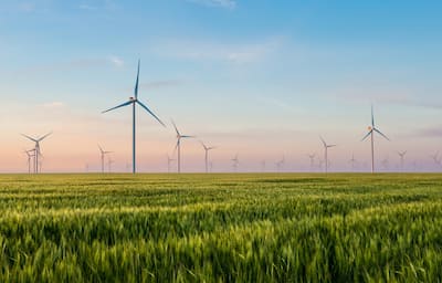 Multiple wind turbines amid a green field