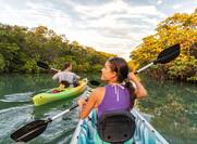 Couple kayaking together in mangrove river of the Keys, Florida, USA