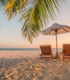 Beachside loungers with umbrella on the sand