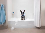 dog taking a bubble bath