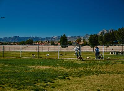 View of small dog park at Barkin' Basin Park in Las Vegas.