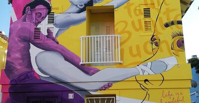  Mural: "Life is a beautiful struggle" by Sander Van Beusekom (located in Curacao)