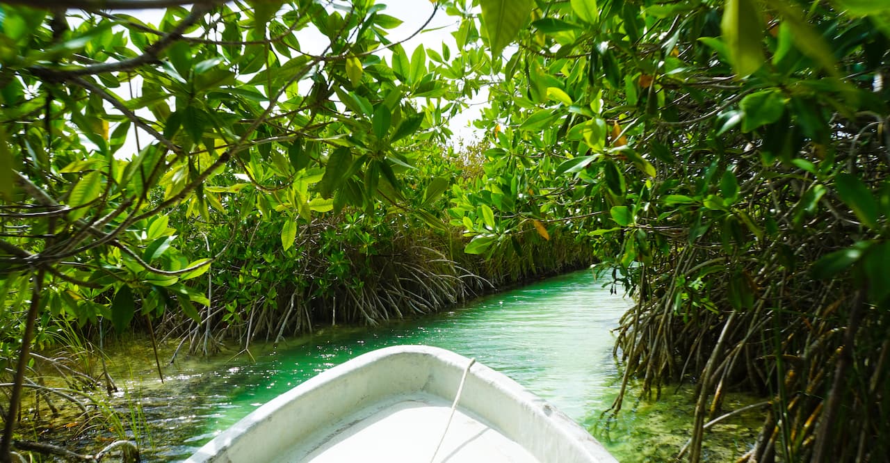 Boat navigating through Sian Ka'an Biosphere Reserve UNESCO Site in Tulum, Mexico, Quintana Roo. 