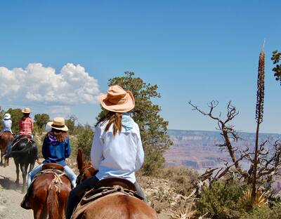 A line of people wearing hats and riding horses and donkeys next to the grand canyon