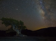 The night sky in Great Basin National Park