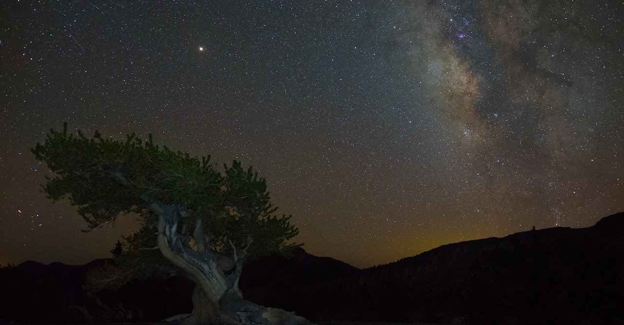 The night sky in Great Basin National Park