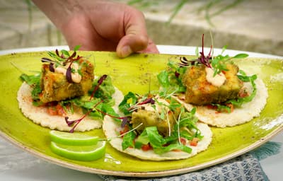 Hand presenting plate of fish tacos