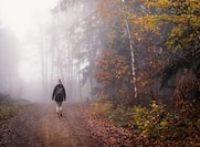 Person walking through the fog in the woods. 