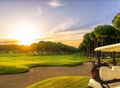 A green and serene golf course during sun set. 