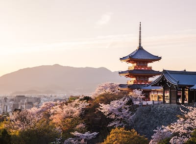 Sunset at Kiyomizu-dera Temple and cherry blossom season (Sakura) on spring time in Kyoto, Japan