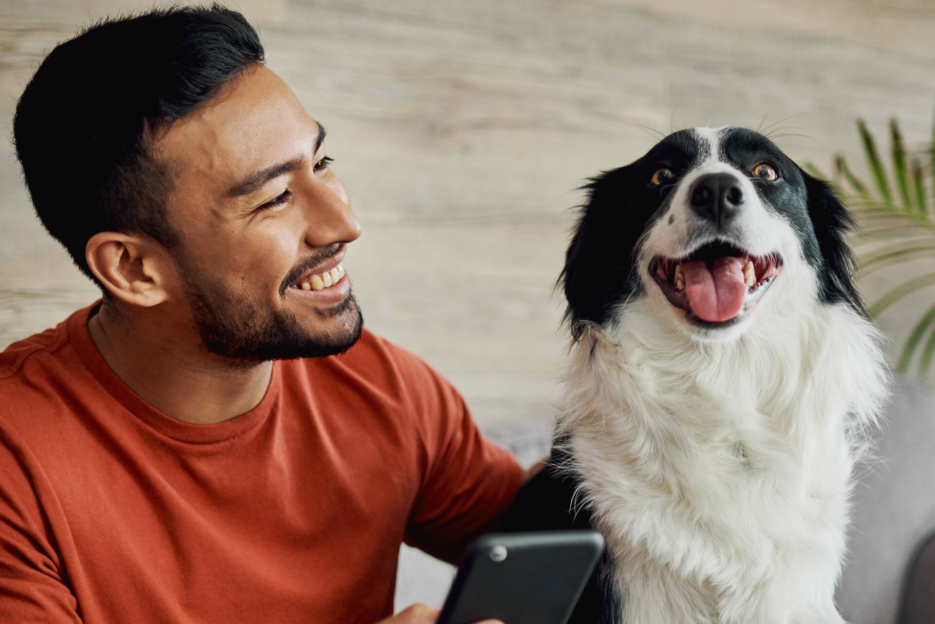 Man in orange t-shirt with phone and black and white dog