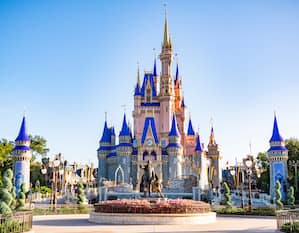 Castillo de Walt Disney World