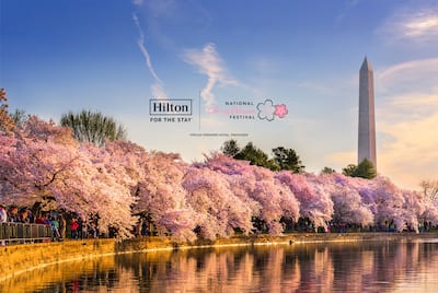 Washington DC monument during spring cherry blossoms with hilton and partner logo lockup
