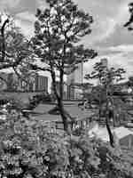 首爾花園及建築物景觀