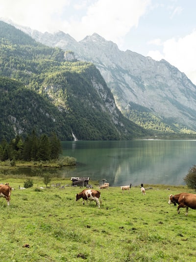 Munich and Surrounding