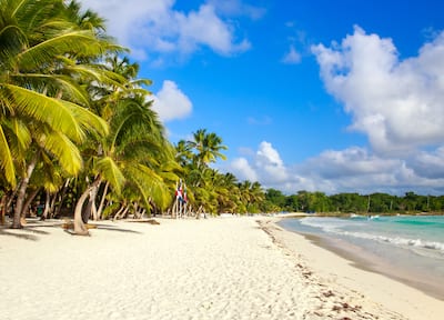 A sandy beach in the Dominican republic is straddled by palm trees on one side and emerald seas on the other.