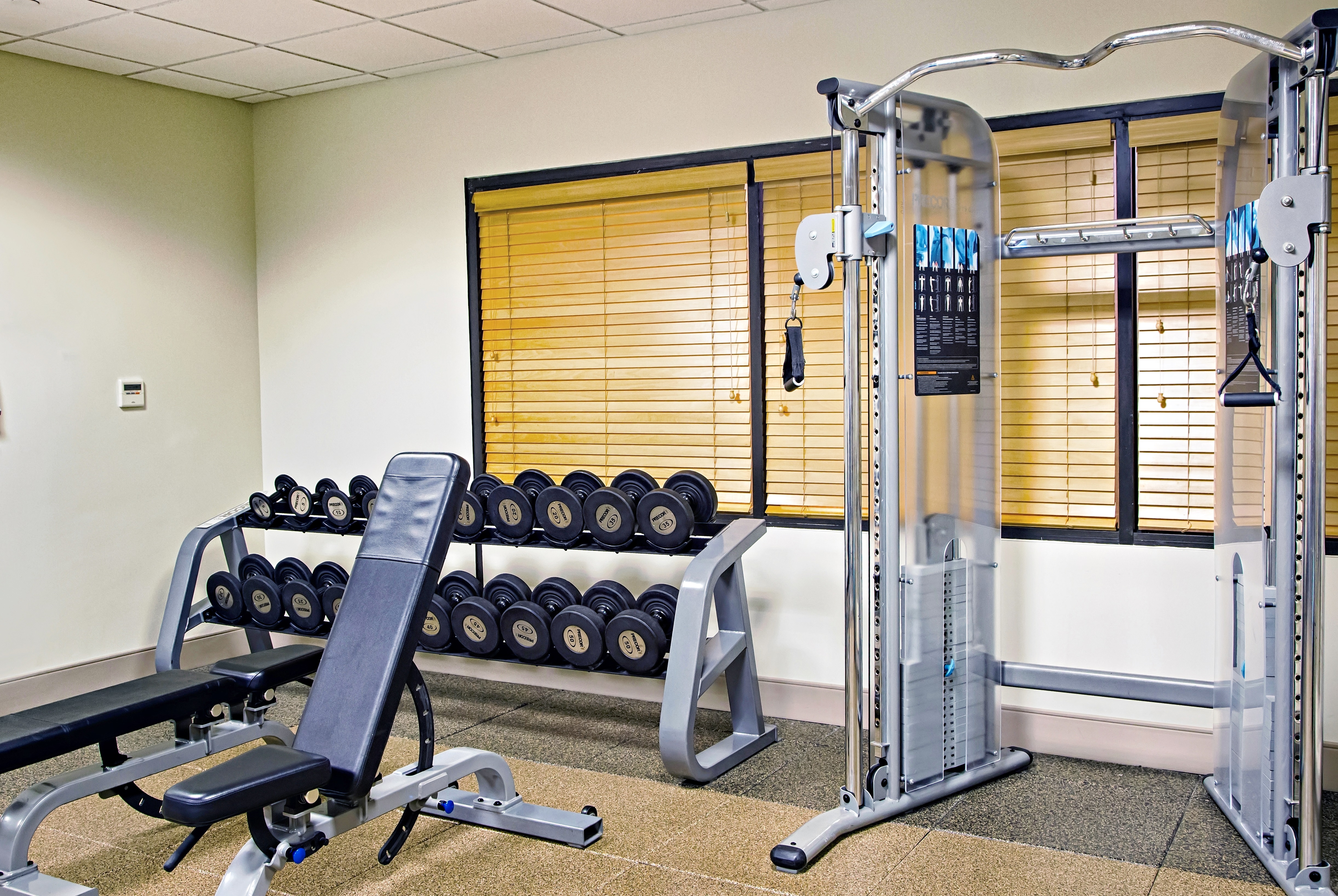 Fitness Center with Weight Bench, Dumbbell Rack and Weight Machine