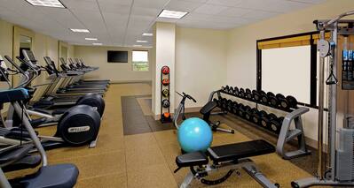 Fitness Center with Treadmills, Cross-Trainers, Weight Bench, Gym Ball and Dumbbell Rack