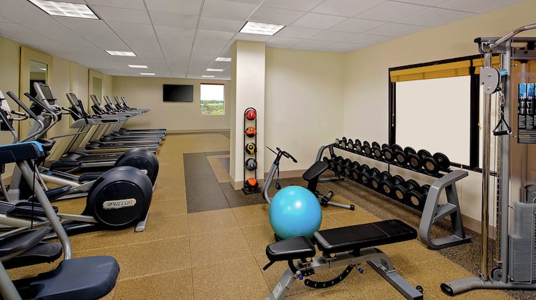 Fitness Center with Treadmills, Cross-Trainers, Weight Bench, Gym Ball and Dumbbell Rack