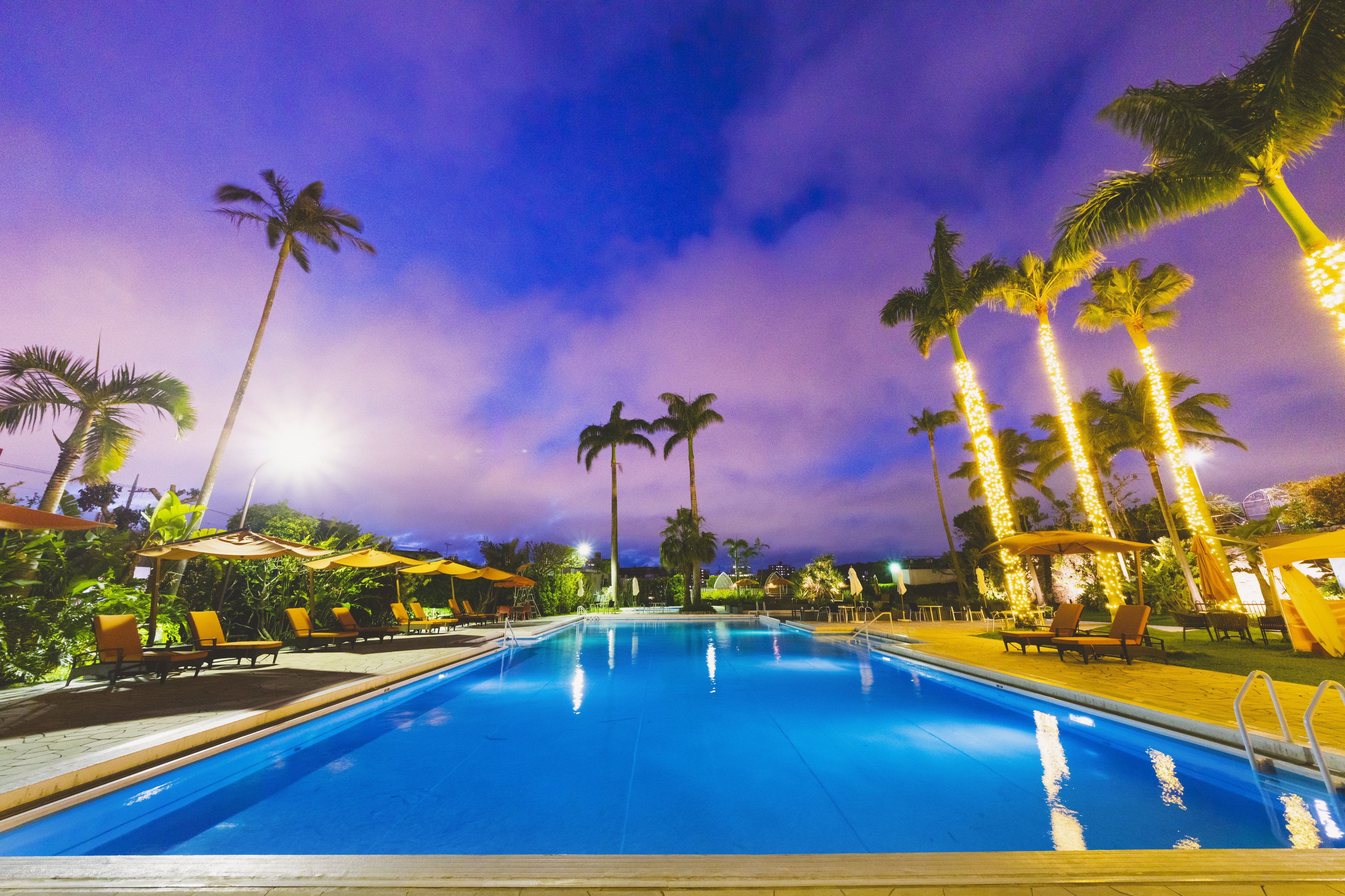 Outdoor Pool Area at Night with Palm Trees