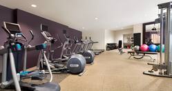 Gym With Cardio Equipment, Free Weights, Weight Benches, Exercise Balls, Large Mirror, and Weight Machine