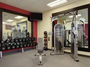 Fitness Center With Weight Machine, Free Weights, Weight Balls, Large Mirrors and Weight Bench