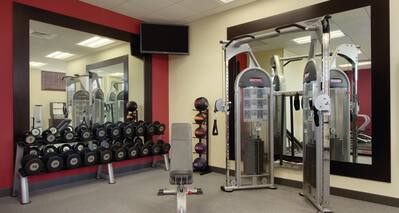Fitness Center With Weight Machine, Free Weights, Weight Balls, Large Mirrors and Weight Bench