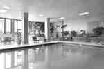 Indoor Pool With Leisure Seating and Decorative Plants