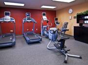 Fitness Center - Cardio Equipment