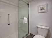 guest bathroom with shower