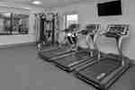 Fitness Center with Three Treadmills, Gym Ball, Wall Mounted HDTV and Weight Machine