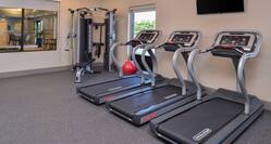 Fitness Center with Three Treadmills, Gym Ball, Wall Mounted HDTV and Weight Machine