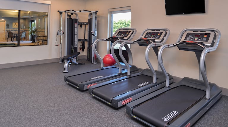 Fitness Center with Three Treadmills, Gym Ball, Wall Mounted HDTV and Weight Machine