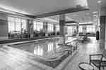 Indoor swimming pool with poolside seating and plants
