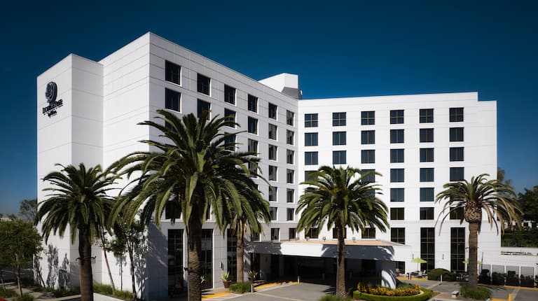 DoubleTree Hotel Exterior with Palm Trees