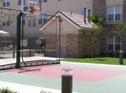 Outdoor Sport Court with Basketball Net 