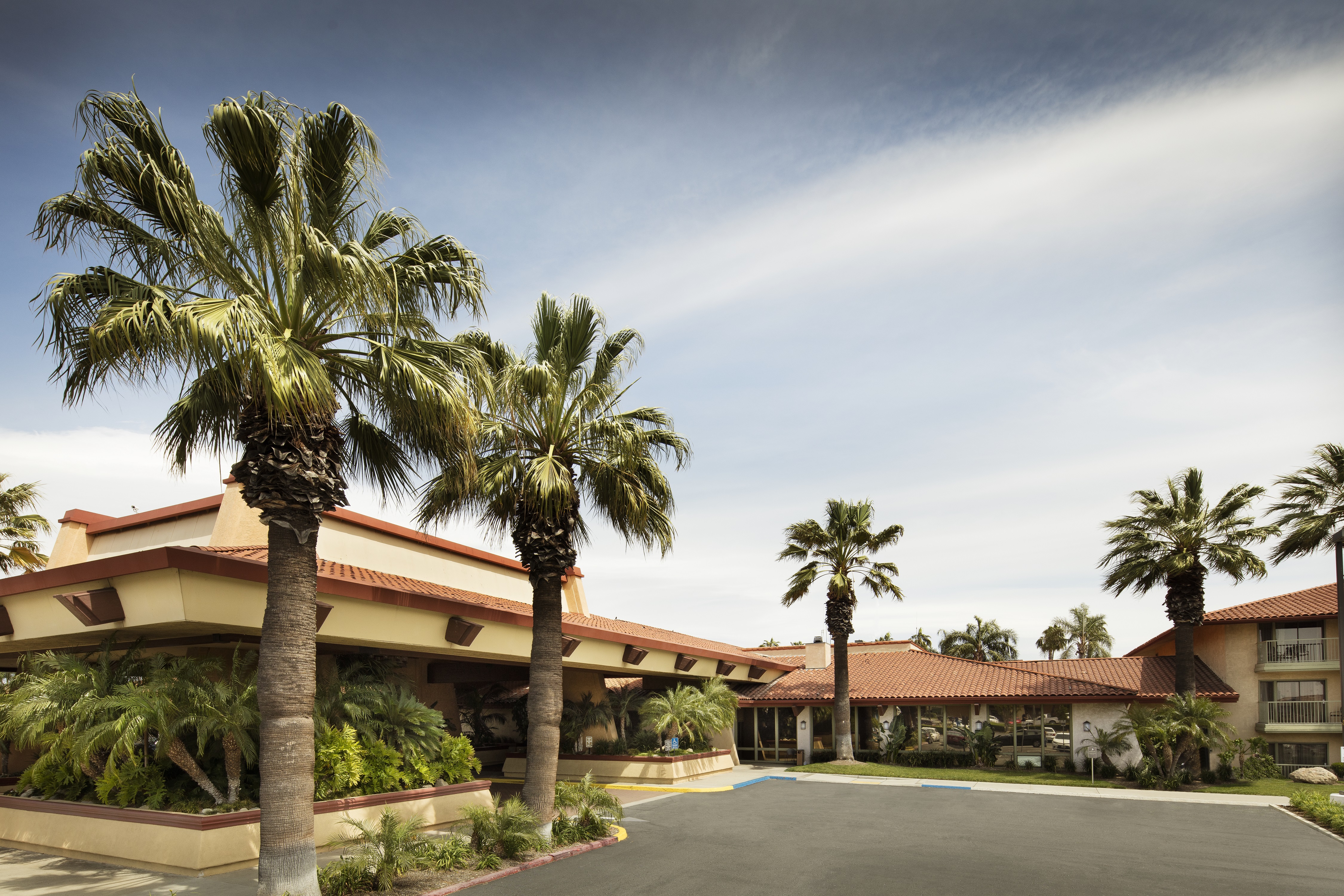 Daytime View of Hotel Exterior and Parking Lot Surrounded by Palm Trees
